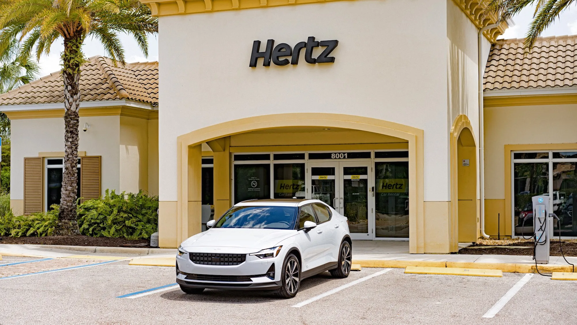 Hertz & AVIS, USA